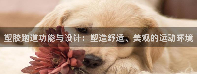 红足一1世手机开奖：塑胶跑道功能与设计：塑造舒适、美观的运动环境