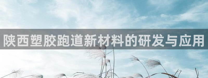 红足一1世即时比分：陕西塑胶跑道新材料的研发与应用