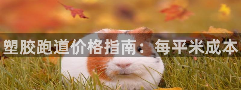 红足一1世666814最新结果：塑胶跑道价格指南：每平米成本