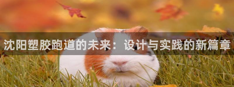 红足一1世666814最新结果：沈阳塑胶跑道的未来：设计与实践的新篇章