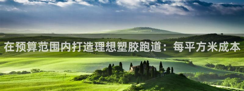 红足一1世皇冠：在预算范围内打造理想塑胶跑道：每平方米成本