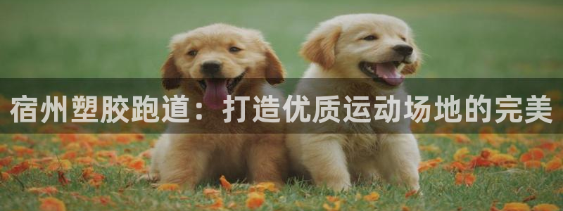 666814红·足一世比分：宿州塑胶跑道：打造优质运动场地的完美