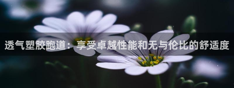 百度红足一1视频在线观看：透气塑胶跑道：享受卓越性能和无与伦比的舒适度