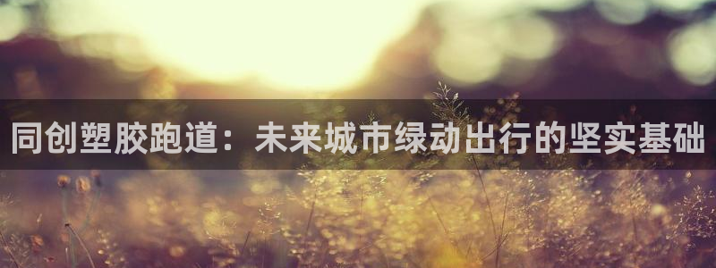 55814红足1世：同创塑胶跑道：未来城市绿动出行的坚实基础