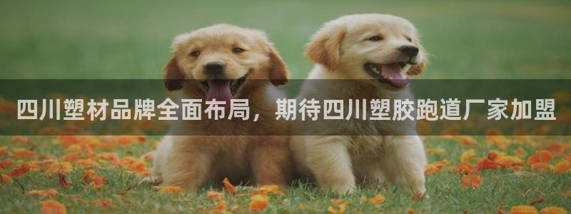 666814红·足一世比分：四川塑材品牌全面布局，期待四川塑胶跑道厂家加盟