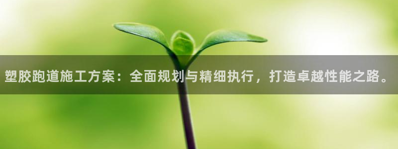 红足一1世手机皇冠：塑胶跑道施工方案：全面规划与精细执行，打造卓越性能之路。