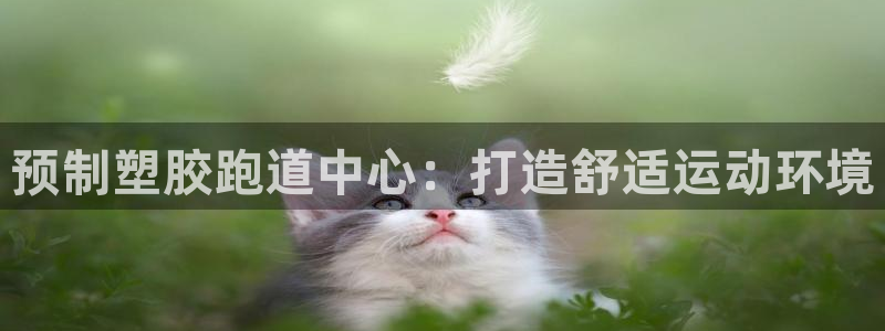 红足一：预制塑胶跑道中心：打造舒适运动环境