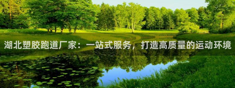 红足1一世红：湖北塑胶跑道厂家：一站式服务，打造高质量的运动环境