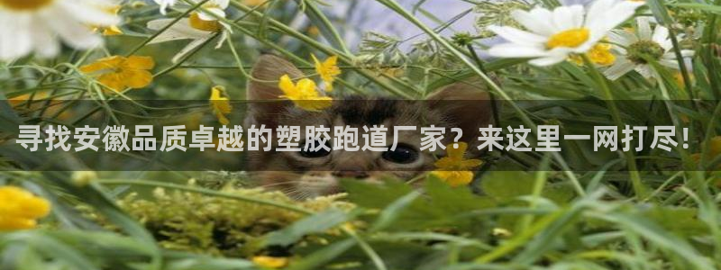 红足1世足球比分预测：寻找安徽品质卓越的塑胶跑道厂家？来这里一网打尽！