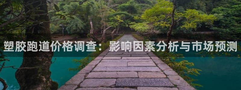 红足1世足球比分预测：塑胶跑道价格调查：影响因素分析与市场预测