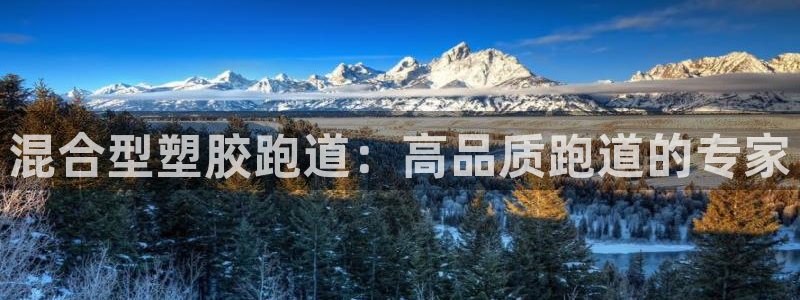 红足 世足球手机网：混合型塑胶跑道：高品质跑道的专家