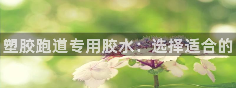 红足一1世官网比分：塑胶跑道专用胶水：选择适合的