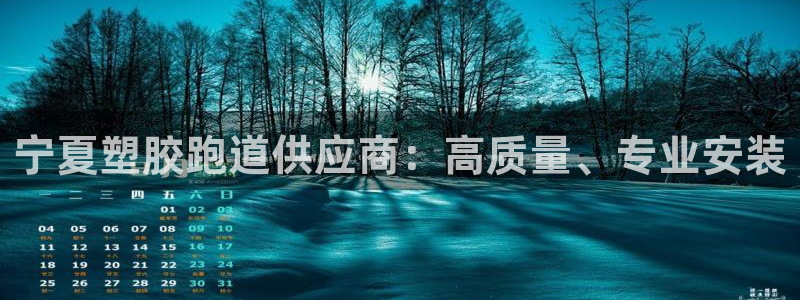 66814红足一66814世：宁夏塑胶跑道供应商：高质量、专业安装