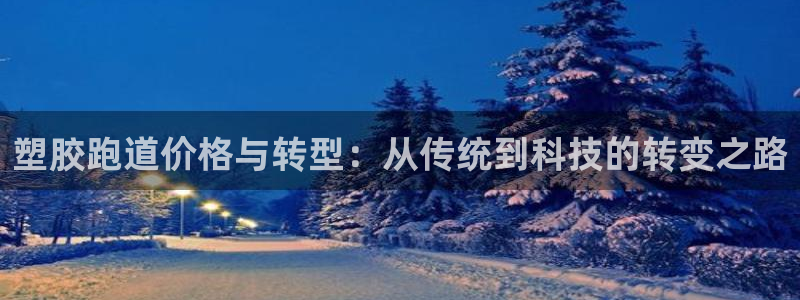 红足1一世：塑胶跑道价格与转型：从传统到科技的转变之路