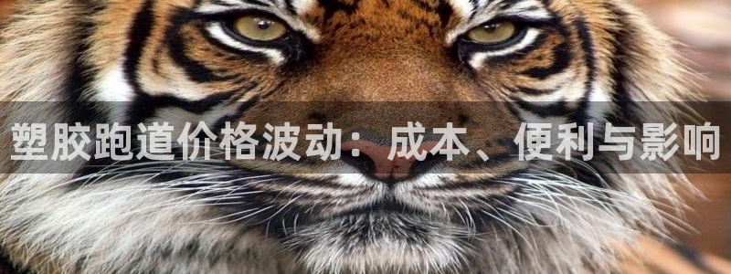 红足一1世比分球探：塑胶跑道价格波动：成本、便利与影响