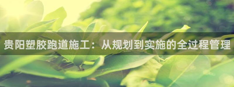 红足一1世皇冠：贵阳塑胶跑道施工：从规划到实施的全过程管理