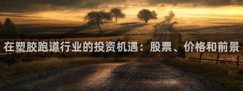 红足一丰：在塑胶跑道行业的投资机遇：股票、价格和前景